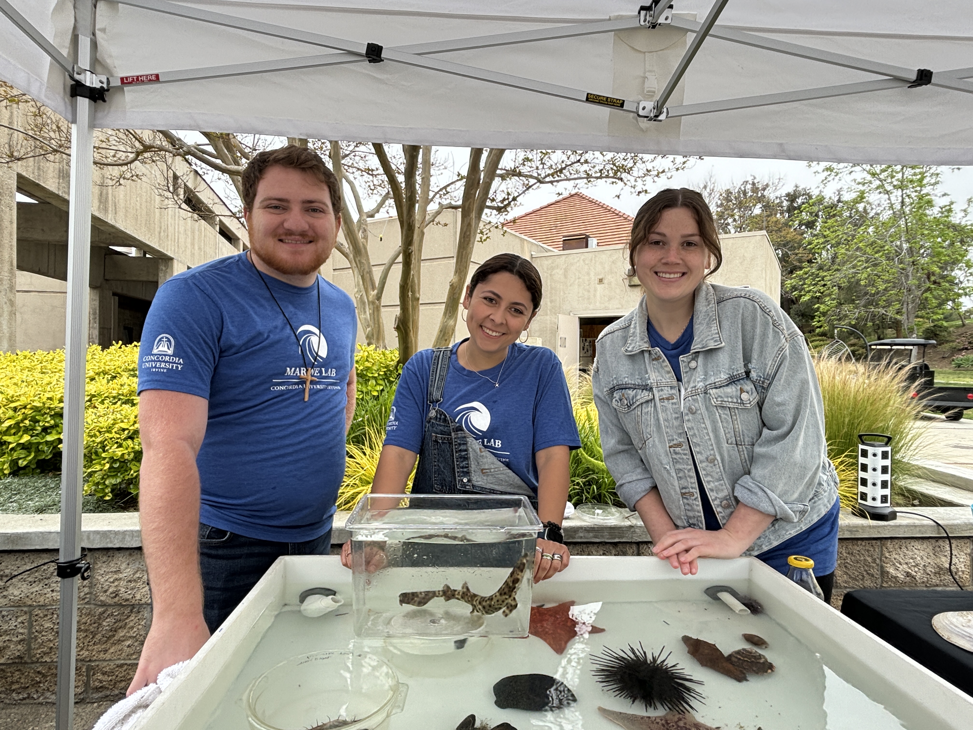 The Marine Lab volunteers with touch pool 
